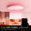 Minimalist Dimmable Color surface mounted Ceiling Lamp